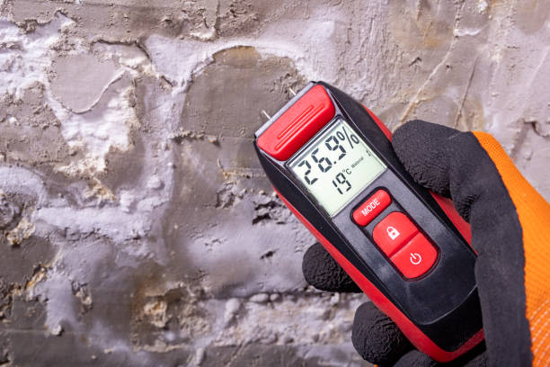 Laredo, TX Mold Remediation Company